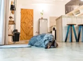 SAYA Nest Self-Service Home in Rainforest Nest with Kitchen - Monkeys, Bats, Pet Friendly with a Fee