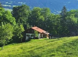 Bergmomente Montafon Ferienhaus Bitschweil