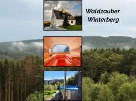 Luxus-Ferienhaus mit Sauna, Hot Tub und grandiosem Panorama