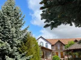 GreenYard Guest house