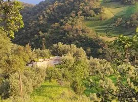 Gîte sanhaji tazekka