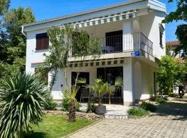 Apartment Olive Groove