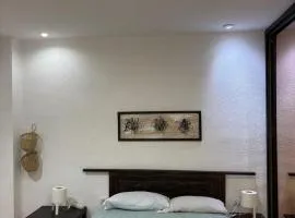 Apartaento zona Ruzafa AVE