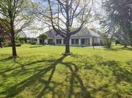 Villa Neves