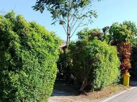 บ้านสโนว์เขาค้อ