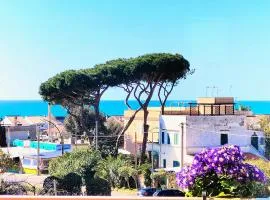 Anzio Paradise