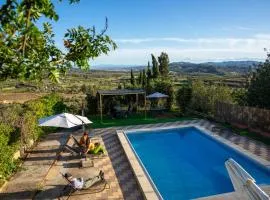 Beautiful Villa with huge private pool and vineyard view