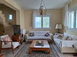 4BR Trekkers Retreat in Spilaio Grevena