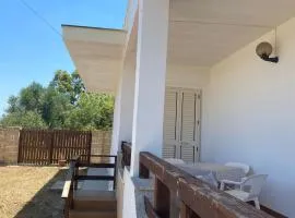 Holiday House