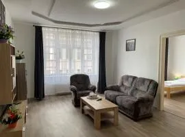 Grand apartments in the centre of Teplice