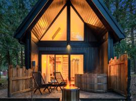 Kodiak Cabin | Hot tub, EV, AC, hotel v destinaci Packwood
