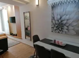 Apartment AD - Pirovac - One bedroom apartment with Terrace