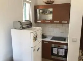 Apartmani Villa Borzic - One Bedroom Apartment with Terarce and Sea View