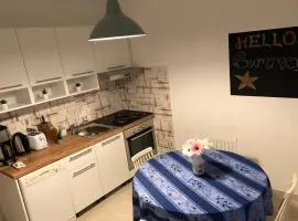 Chic and Cozy Brsec Apartment with Sea View - Two Bedroom Apartment with Sea View