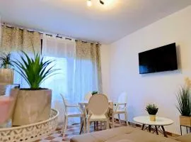 Apartments Villa Mavi-Two Bedroom Apartment First Floor A2