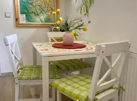 Apartmán Karovi
