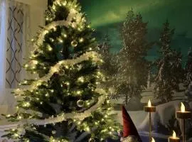 Aurora Night Stay in Rovaniemi