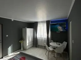 Luxury Apartment