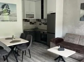 Apartman Misovic 2