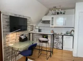 Large room with private kitchen near Kingston University