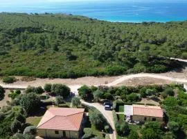 Rosanna House in Bombarde Beach