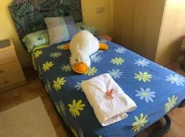 Apartamentos MyM