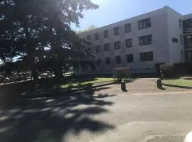 Location chambre verte dans un appartement en colocation