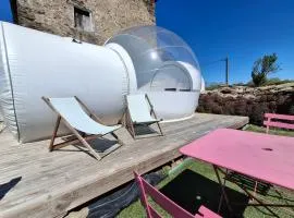 La Bubble