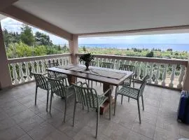 Olive stone Villa