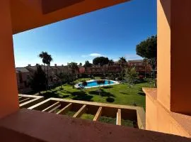 Relax rooftop in the palm trees