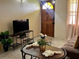 Comfort Suite