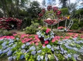Miaoli Sanyi Shantongyazhu Homestay