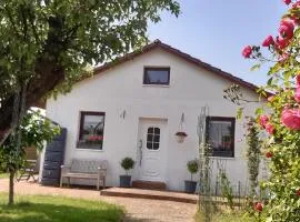 Kleines Ferienhaus Heyne