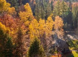 Domek w lesie DiABELSKi KOCiOŁEK