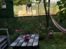garden and panorama