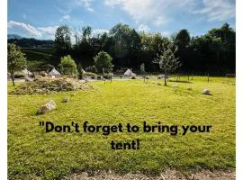 Camp Garden Park- Pitches for Campers and Tents