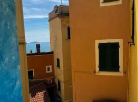 I cavallucci marini