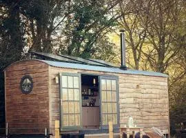 Shepherds Hut Farm Stay - The Nest