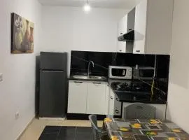 Appartement S1