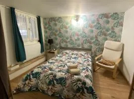 Chez mimi & Djo T2 cosy proche Disney et Paris