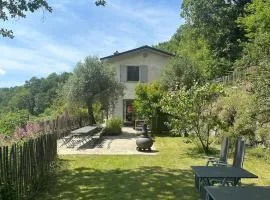 Collina Di Sopra