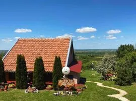 Kuća Čerevićki Vidikovac