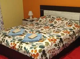 Cozy house 3