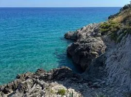 B&B Margherita 3
