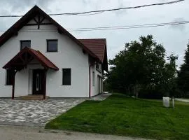 Fűzfa Porta