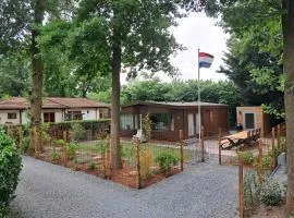 2 tot 6 persoons Natuurhuisje volledig omheind en helemaal gerenoveerd in het bos op de Veluwe in voorthuizen