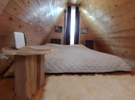 Planinska kuca-Jovanovic!