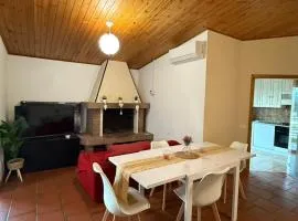 Grande appartamento Stella Marina