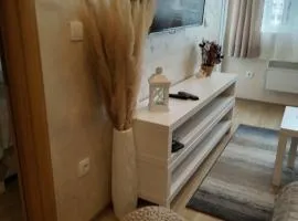 Apartmani Zlatibor centar