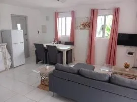 High View Apartments C